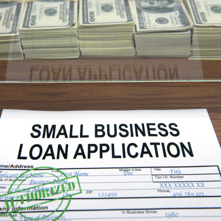 SBA Loan Application